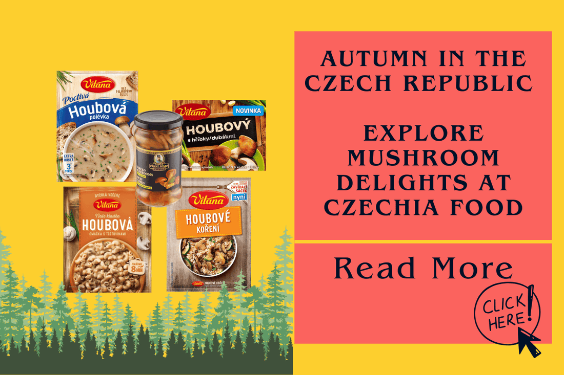 Autumn in the Czech Republic = Mushrooms 🍄