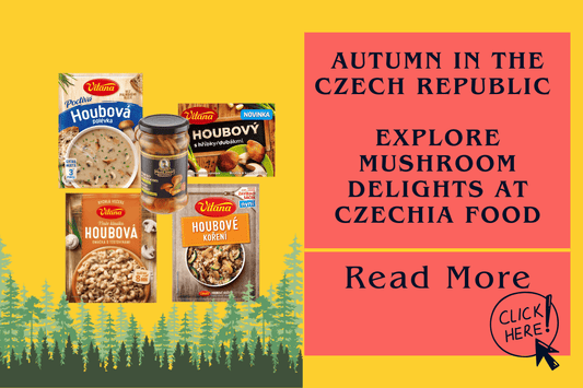 Autumn in the Czech Republic = Mushrooms 🍄