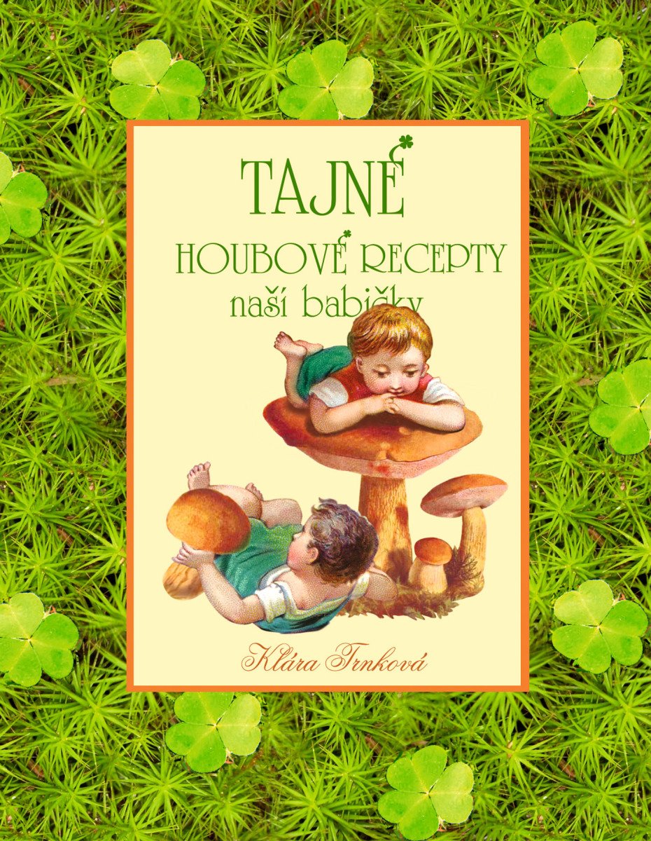 Tajné houbové recepty naší babičky book cover