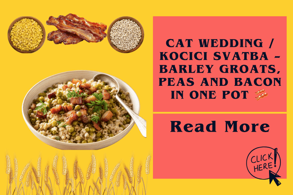 Cat wedding / Kocici svatba – barley groats, peas and bacon in one pot 🥓
