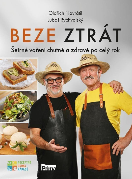 Beze ztrát book cover