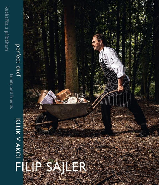 Filip Sajler Kluk v akci book cover