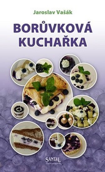 Borůvková kuchařka book cover