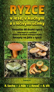 Ryzce book cover