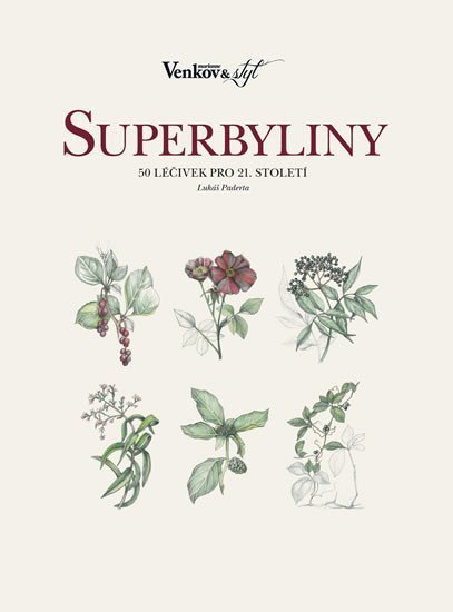 Superbyliny book cover