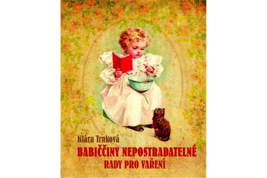 Babiččiny nepostradatelné rady book cover
