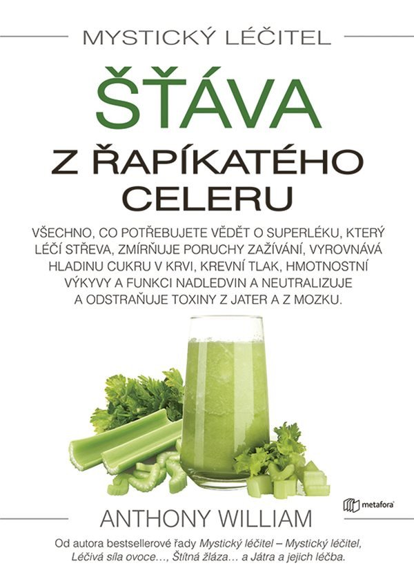 Mystický léčitel book cover