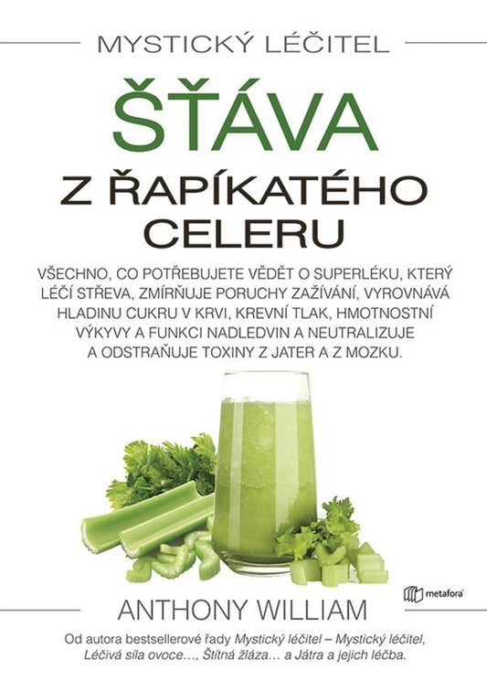 Mystický léčitel book cover