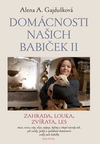 Domácnosti našich babiček II book cover
