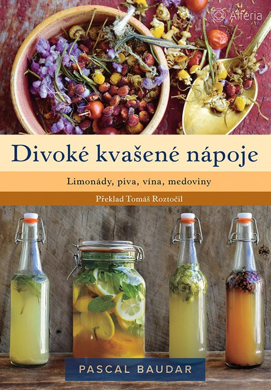 Divoké kvašené nápoje book cover