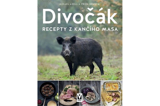 Divočák book cover