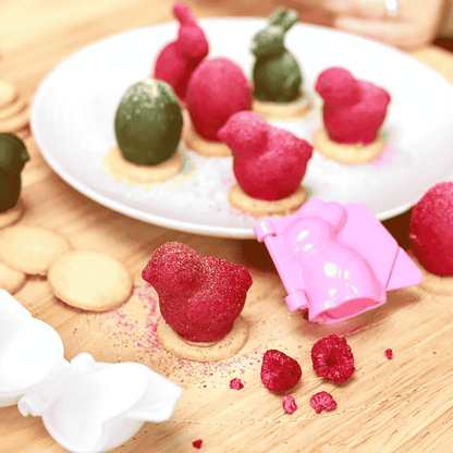 Tescoma Moulds for filled cookies DELÍCIA, 3 Easter shapes