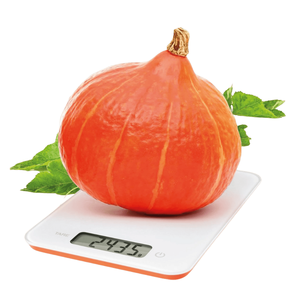 Tescoma Digital kitchen scales ACCURA 5.0 kg