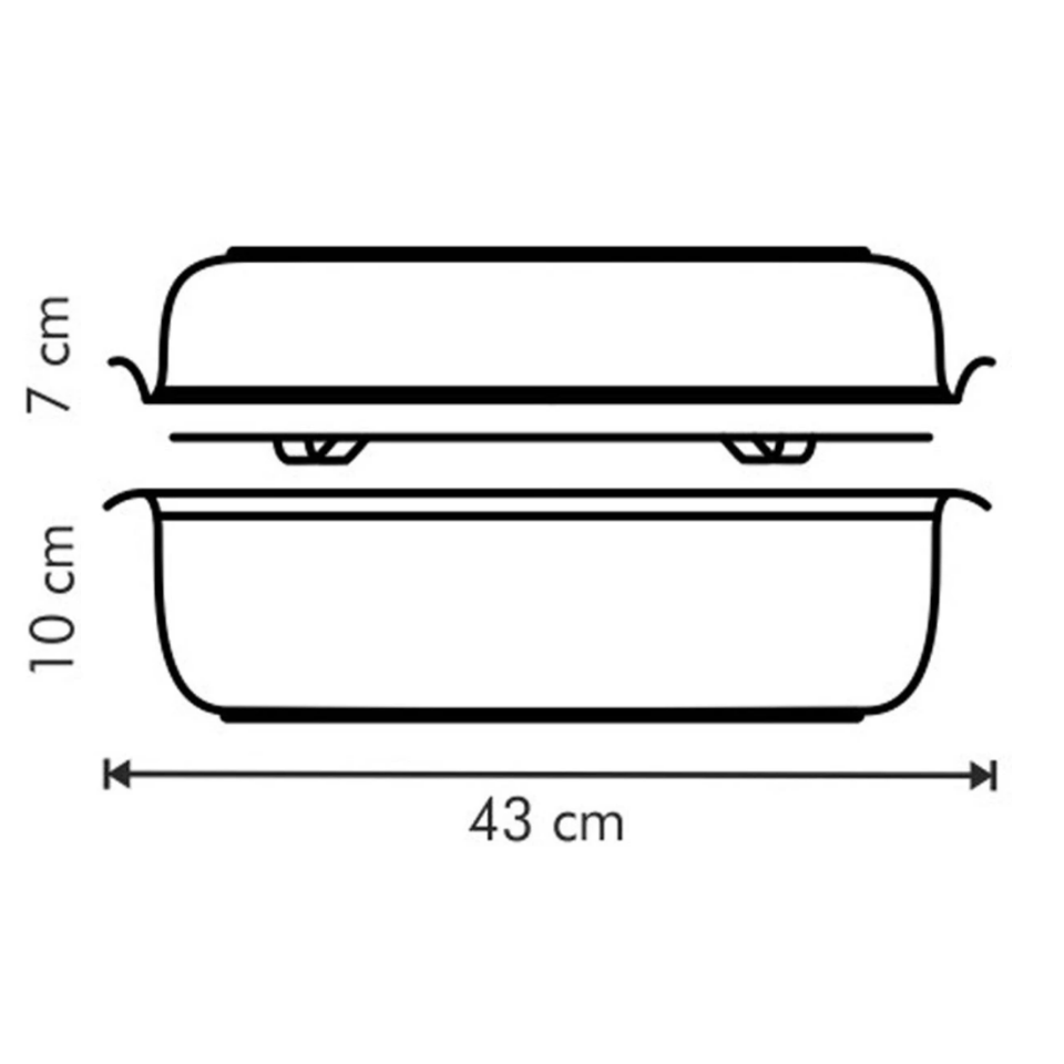 Tescoma EXCLUSIVE roaster with cover, 36 x 24 cm
