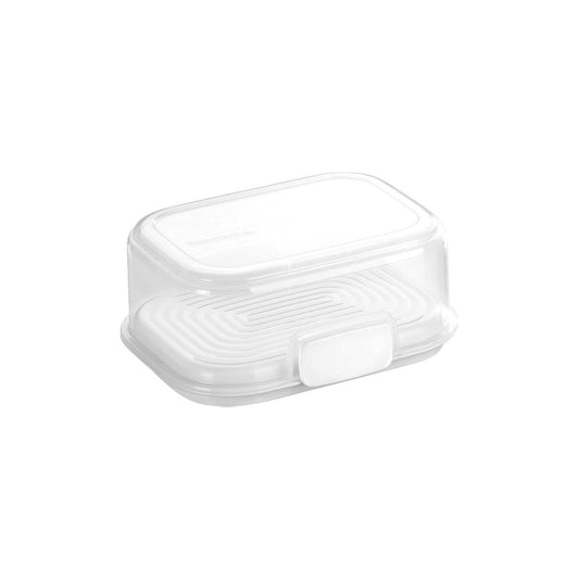 Tescoma Container FreshZONE 17 x 13 cm