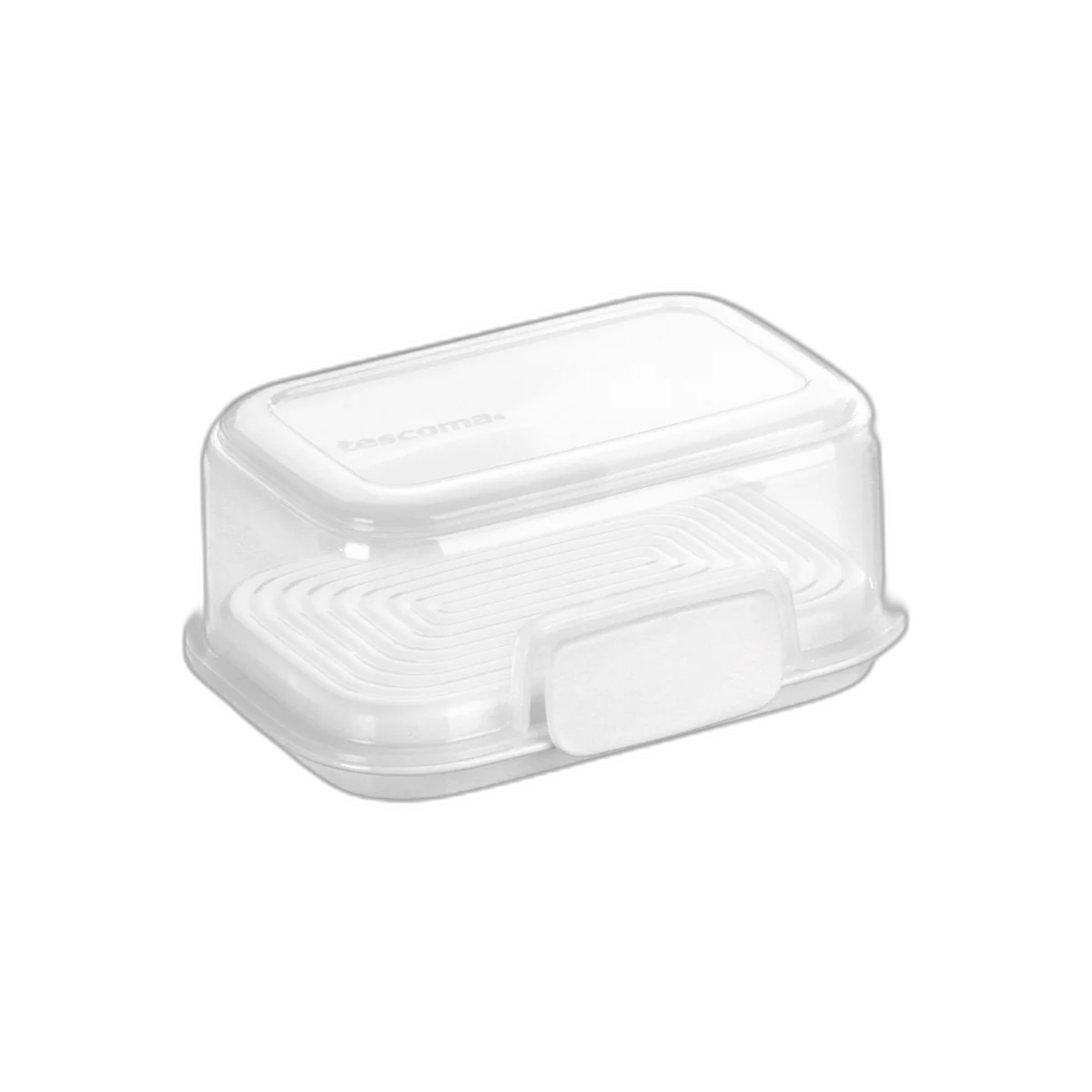 Tescoma Container FreshZONE 20 x 16 cm