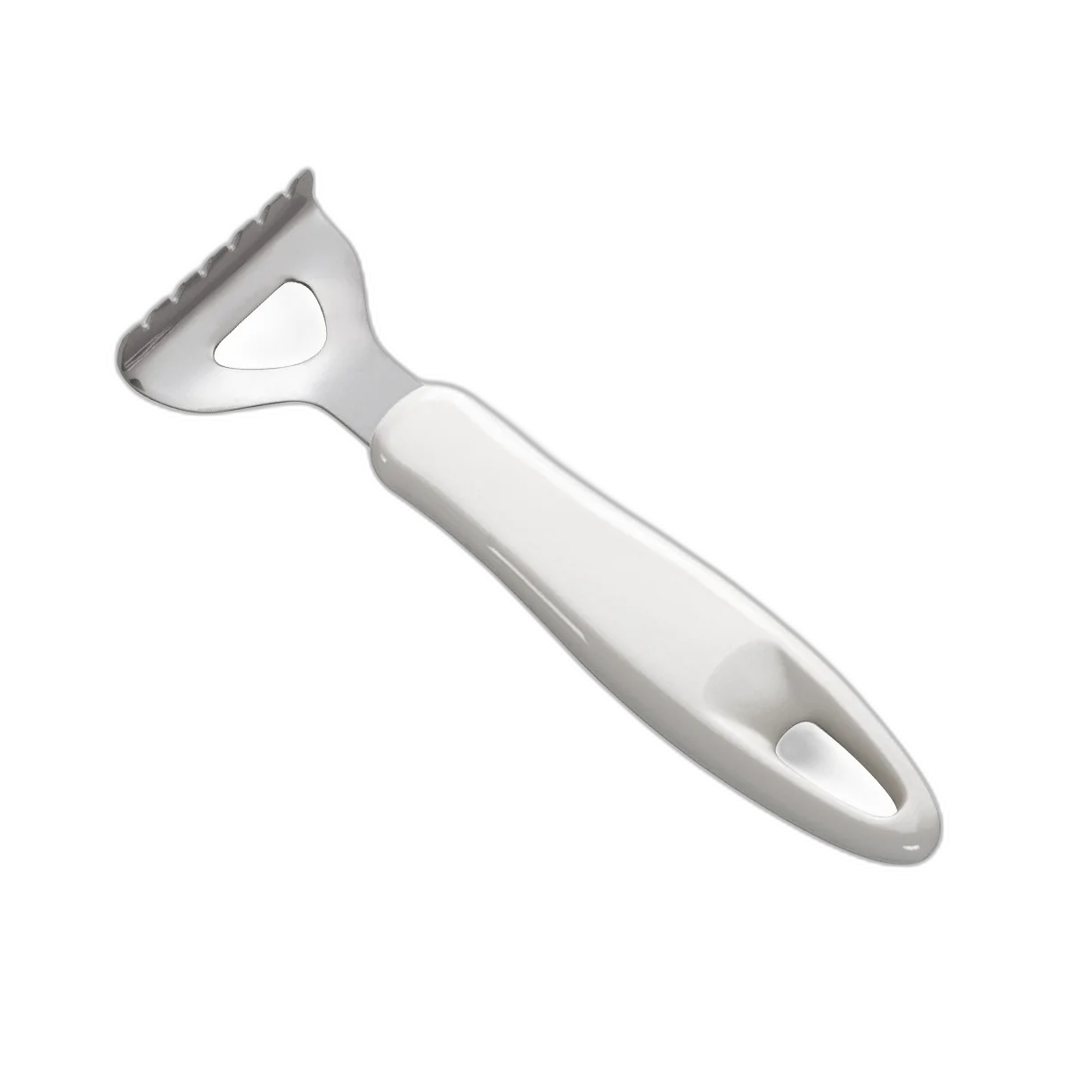Tescoma Fish scraper PRESTO, stainless steel