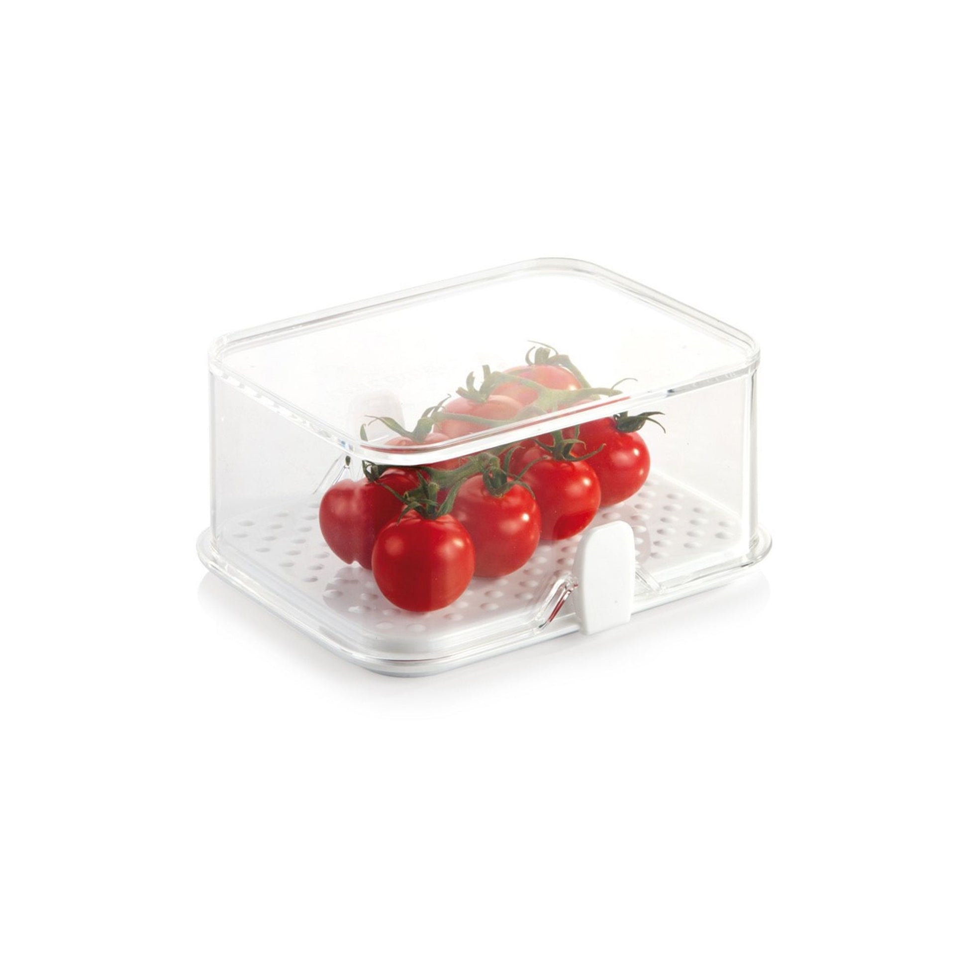 Tescoma Healthy container for refrigerator PURITY, 14x11 cm