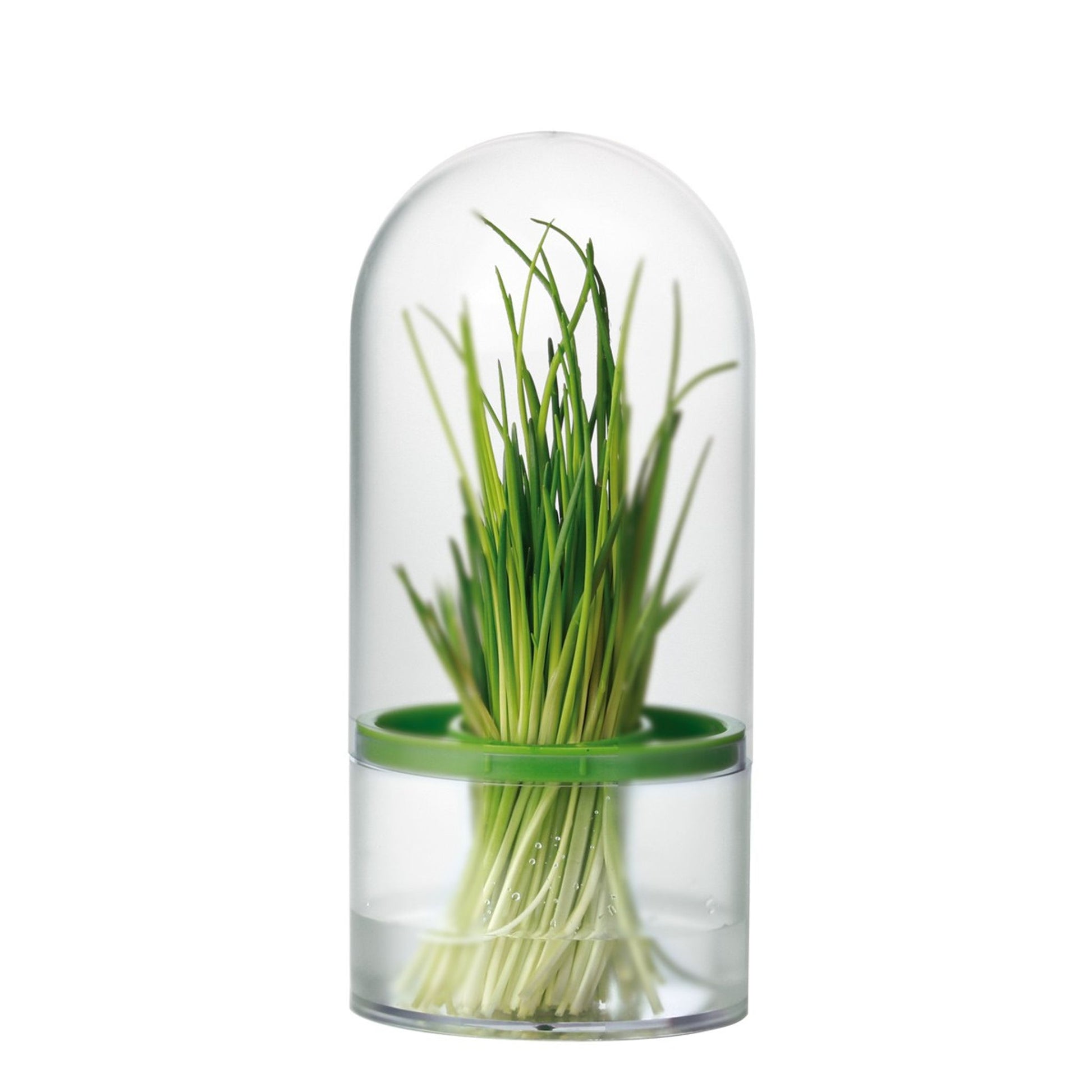 Tescoma Herb keeper SENSE