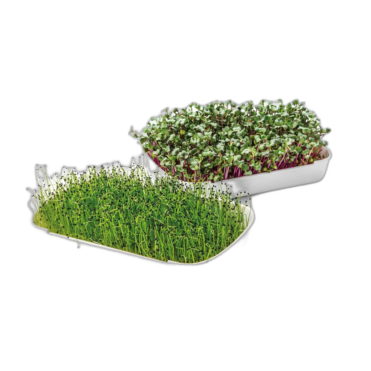 Tescoma Microgreens Anzuchtset SENSE